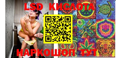сатива Кандалакша