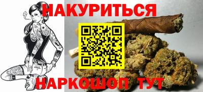 сатива Кандалакша