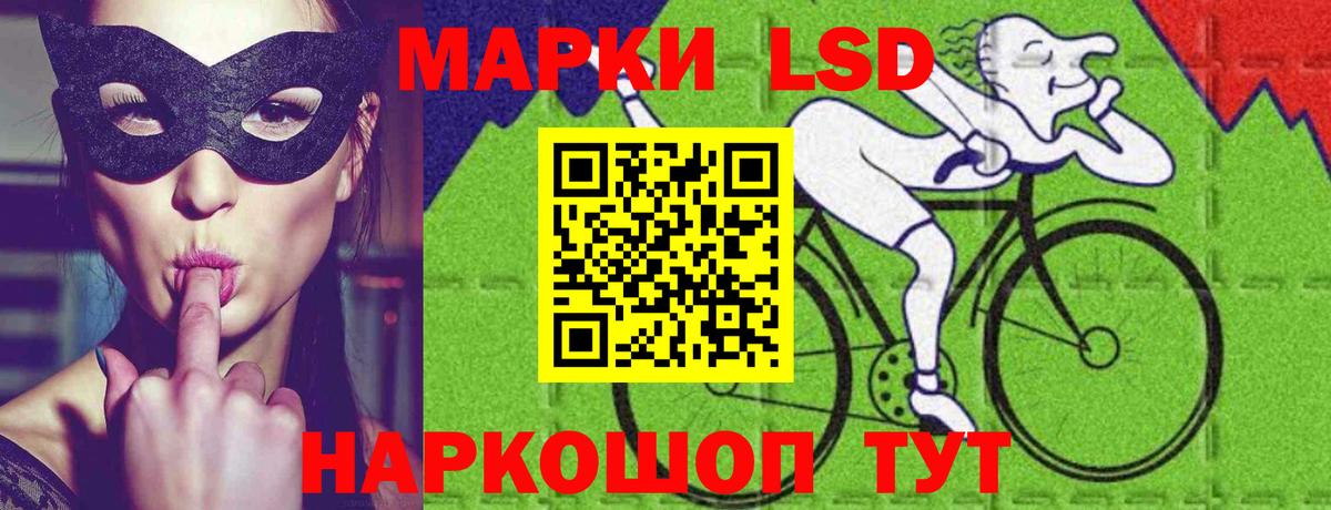 Курчалой  Лсд 25 экстази ecstasy  Вход с VPN 