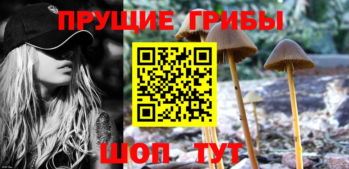 Галлюциногенные грибы Cubensis  Вход с VPN  Курчалой 