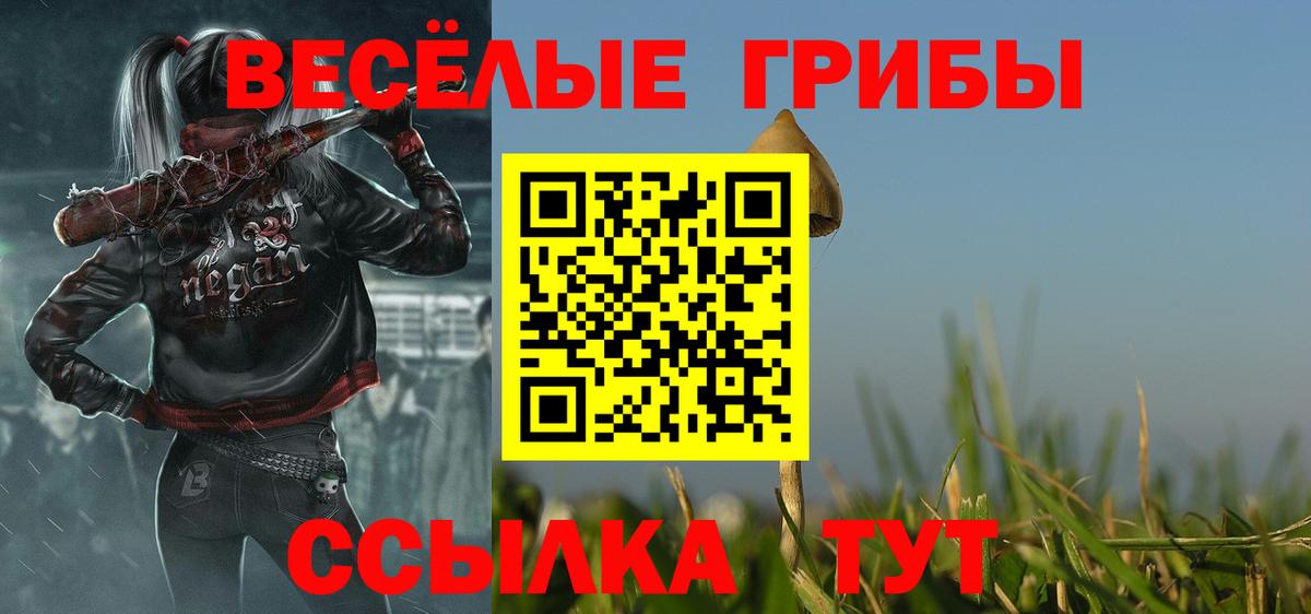 Псилоцибиновые грибы Psilocybine cubensis Курчалой